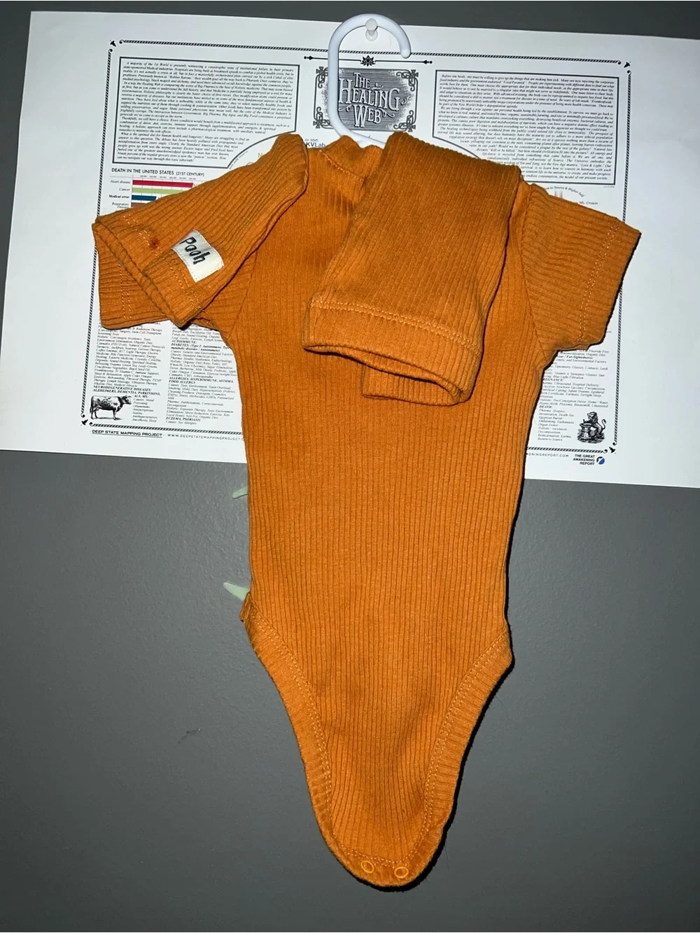 Disney Ribbed One-Piece Bodysuit in Burnt Orange